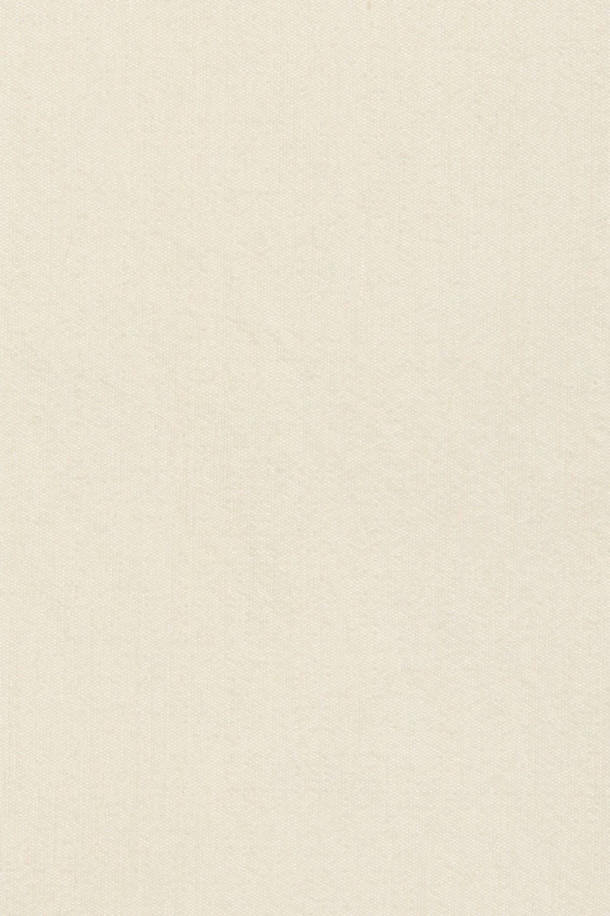 Raw Silk Pencil Skirt - Cloud Cream